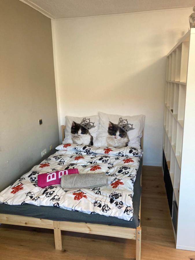 Privatzimmer In Muenchen Zentrum Exterior foto